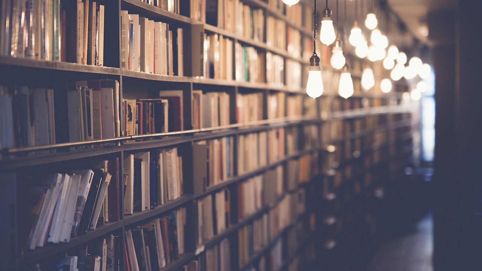 Rayonnages remplis de livres dans une librairie parisienne