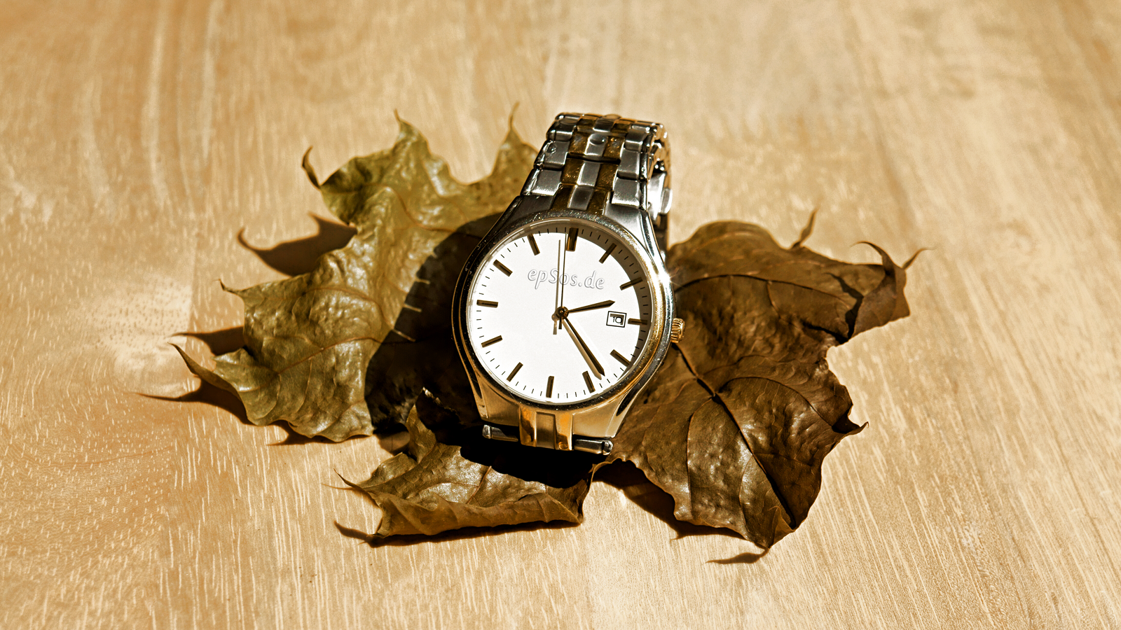 Montre analogique posée sur une feuille sèche